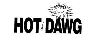 HOT DAWG logo
