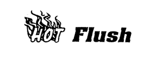 HOT FLUSH logo