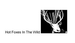 HOT FOXES IN THE WILD logo