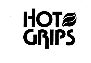HOT GRIPS logo