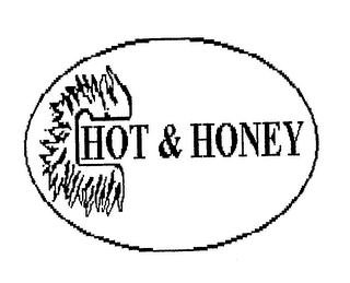 HOT & HONEY logo
