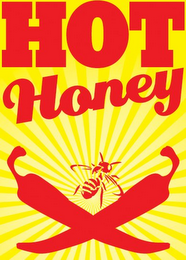 HOT HONEY logo