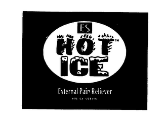 HOT ICE logo