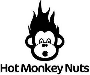 HOT MONKEY NUTS logo