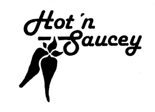 HOT 'N SAUCEY logo