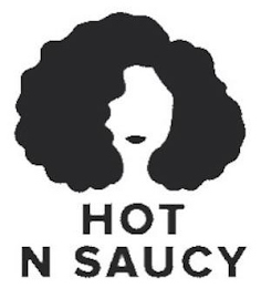 HOT N SAUCY logo