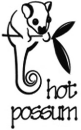 HOT POSSUM logo