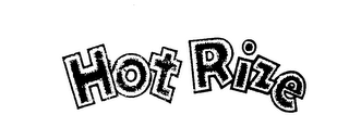 HOT RIZE logo