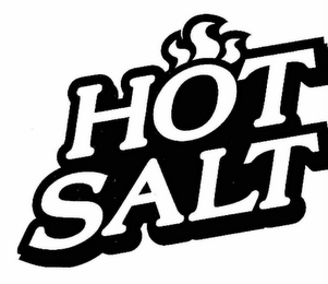 HOT SALT logo
