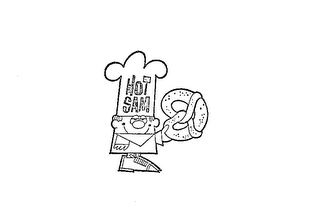 HOT SAM logo