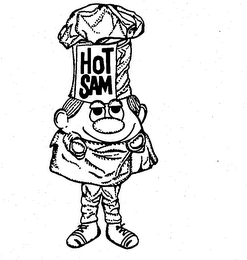 HOT SAM logo
