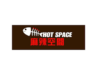 HOT SPACE logo