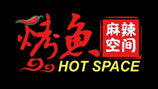 HOT SPACE logo