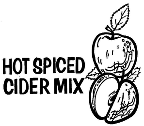 HOT SPICED CIDER MIX logo