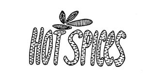 HOT SPICES logo