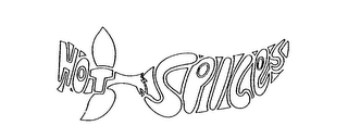 HOT SPICES logo