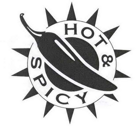 HOT & SPICY logo