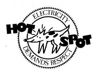 HOT SPOT ELECTRICITY DEMANDS RESPECT logo
