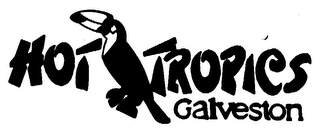 HOT TROPICS logo