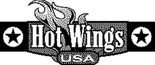 HOT WINGS USA logo