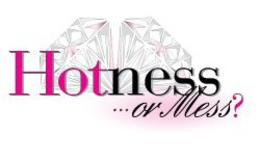 HOTNESS...OR MESS? logo