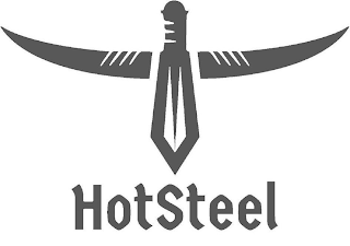 HOTSTEEL logo