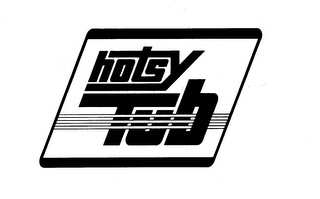 HOTSY TUB logo
