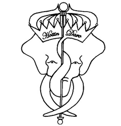 HOTTIN DARO logo