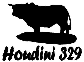 HOUDINI 329 logo