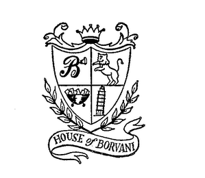 HOUSE OF BORVANI B logo