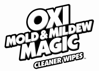 HOUSEHOLD MOLD & MILDEW CLEANER WIPE logo