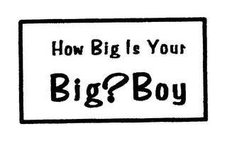 HOW BIG IS YOUR BIG? BOY logo