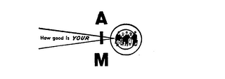 HOW GOOD IS YOUR AIM logo