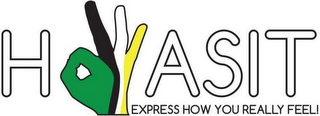 HOWASIT EXPRESS HOW YOU REALLY FEEL! logo