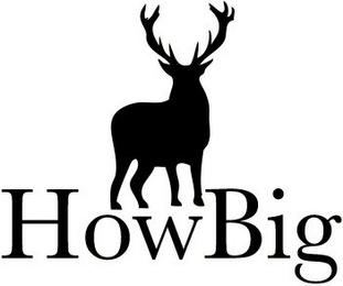 HOWBIG logo