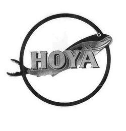 HOYA logo