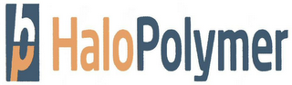 HP HALOPOLYMER logo