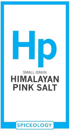HP SMALL GRAIN HIMALAYAN PINK SALT SPICEOLOGY logo