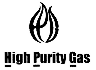 HPG HIGH PURITY GAS logo