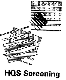 HQS SCREENING logo