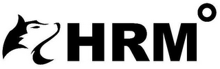 HRM logo