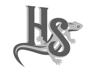 HS logo