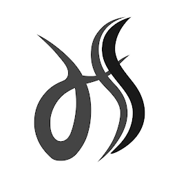 HS logo