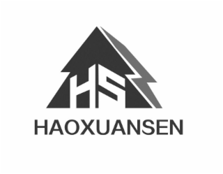 HS HAOXUANSEN logo