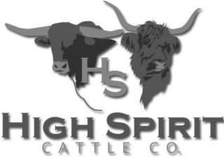 HS HIGH SPIRIT CATTLE CO. logo