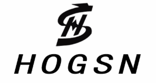 HS HOGSN logo