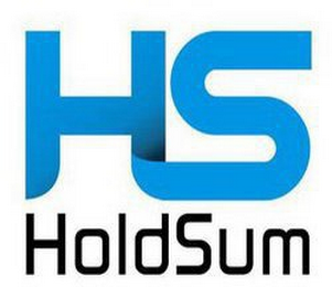 HS HOLDSUM logo
