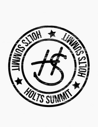 HS HOLTS SUMMIT logo