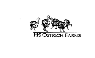 HS OSTRICH FARMS logo