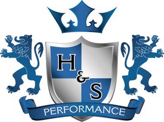H&S PERFORMANCE logo